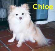 Chloe